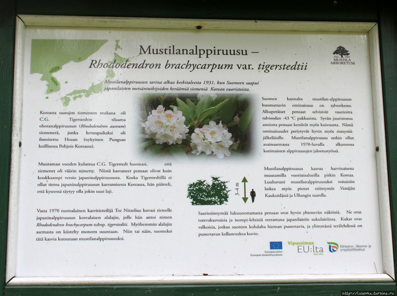 Арборетум Мустила —  природная достопримечательность Finland Элимяки, Финляндия