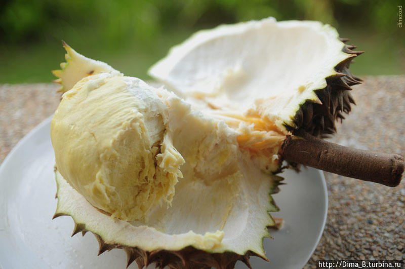 Купить Дуриан С Доставкой По России Недорого