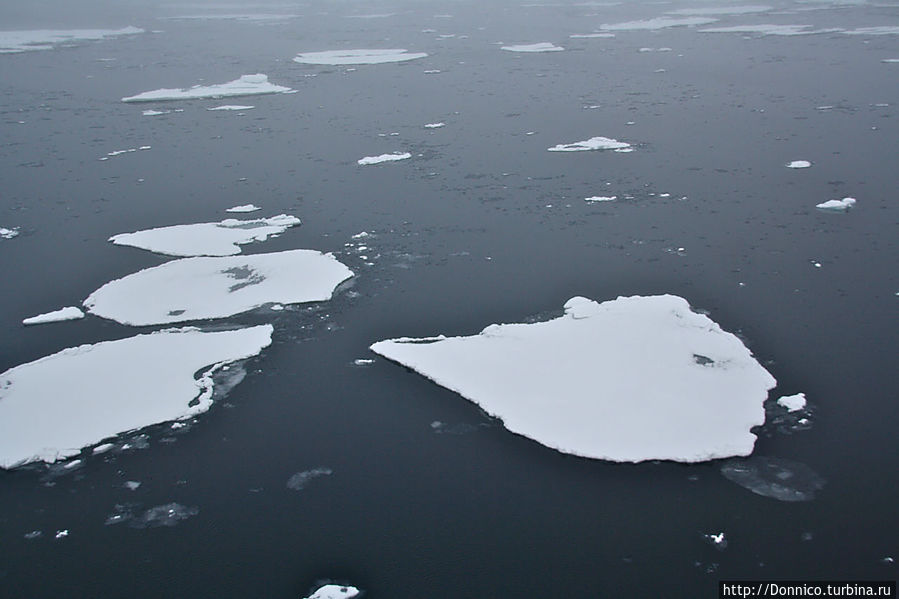 ожившая капля-гигант...