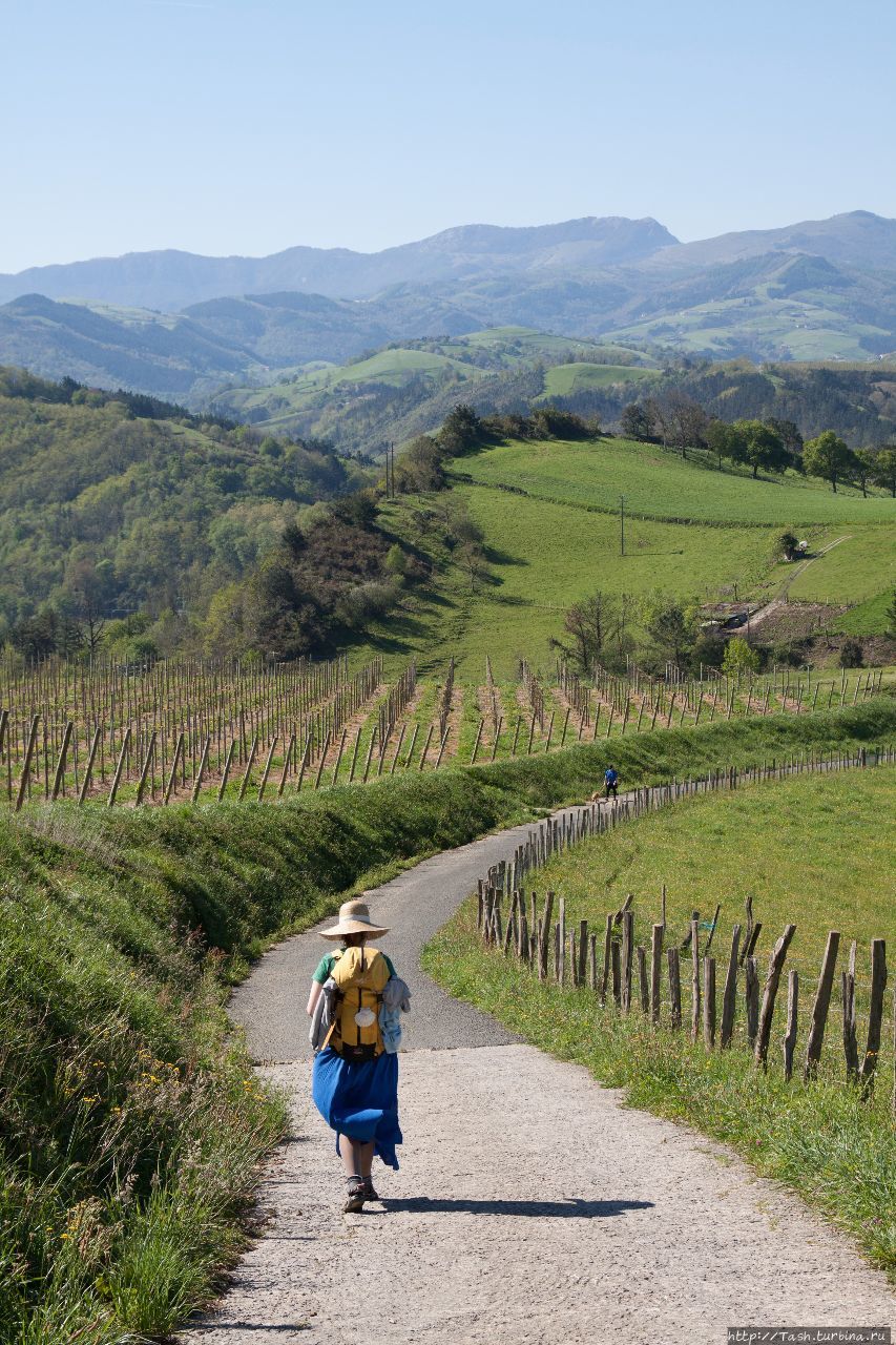 Camino del Norte. Северный путь в Сантьяго де Компостела. Сантьяго-де-Компостела, Испания