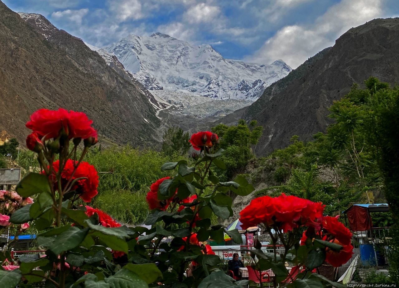 Ракапоши вью поинт / Rakaposhi View Point
