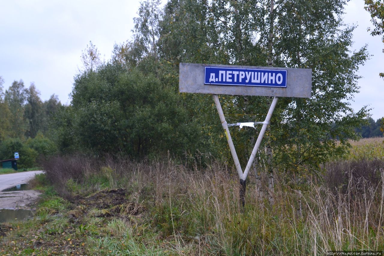 Лесной трезвый слёт на Клязьме Лакинск, Россия