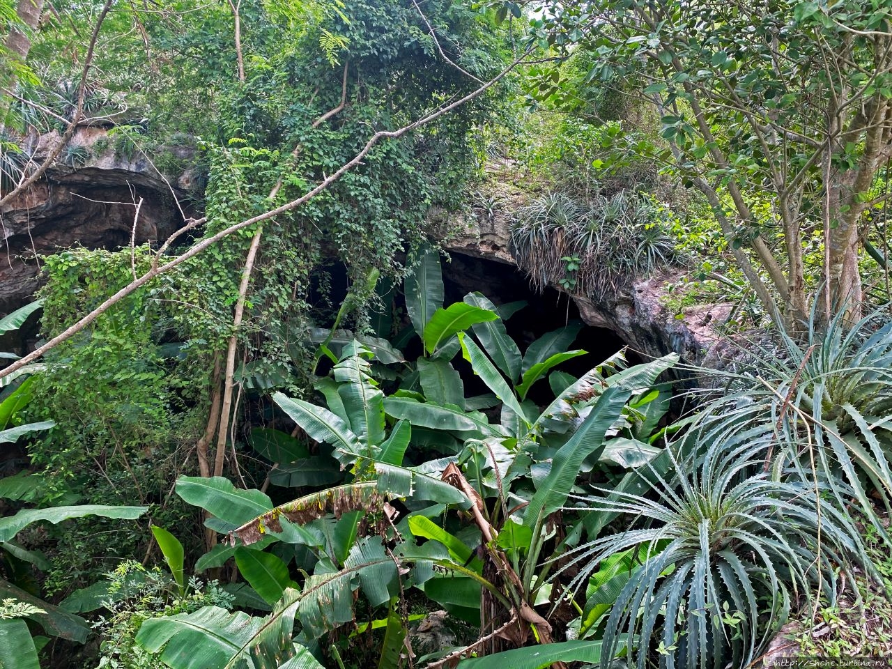Известняковая пещера Ошкинток, Мексика