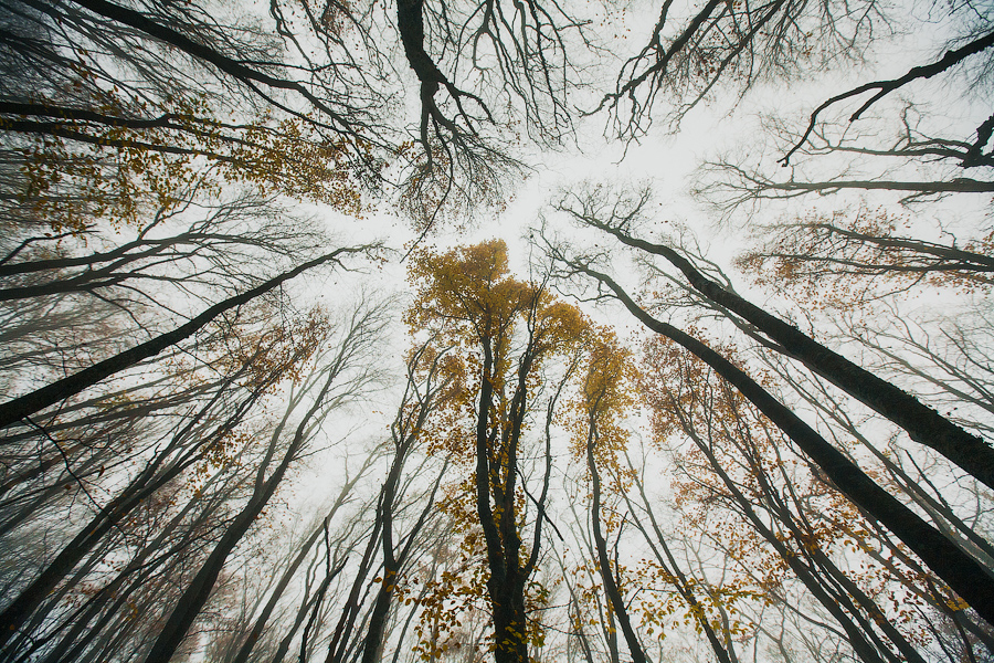 Такой красивой и разнообразной получилась прогулка. Успели и под дождем намокнуть, и на солнышке погреться, и в тумане погулять:)