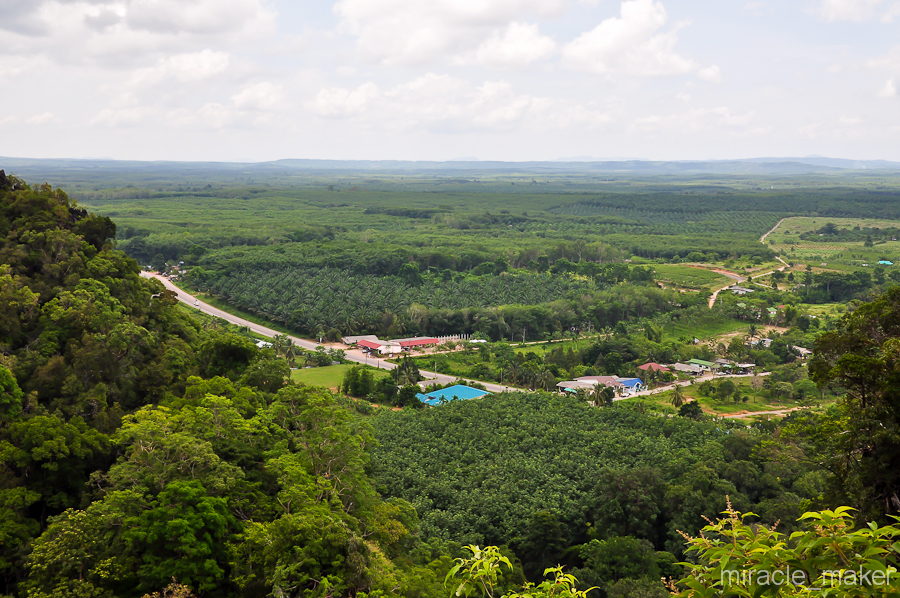 Судя по высоте осталось еще немного. В принципе ничего сложного, главное задать темп ходьбы и постараться не сбивать его частыми передышками.