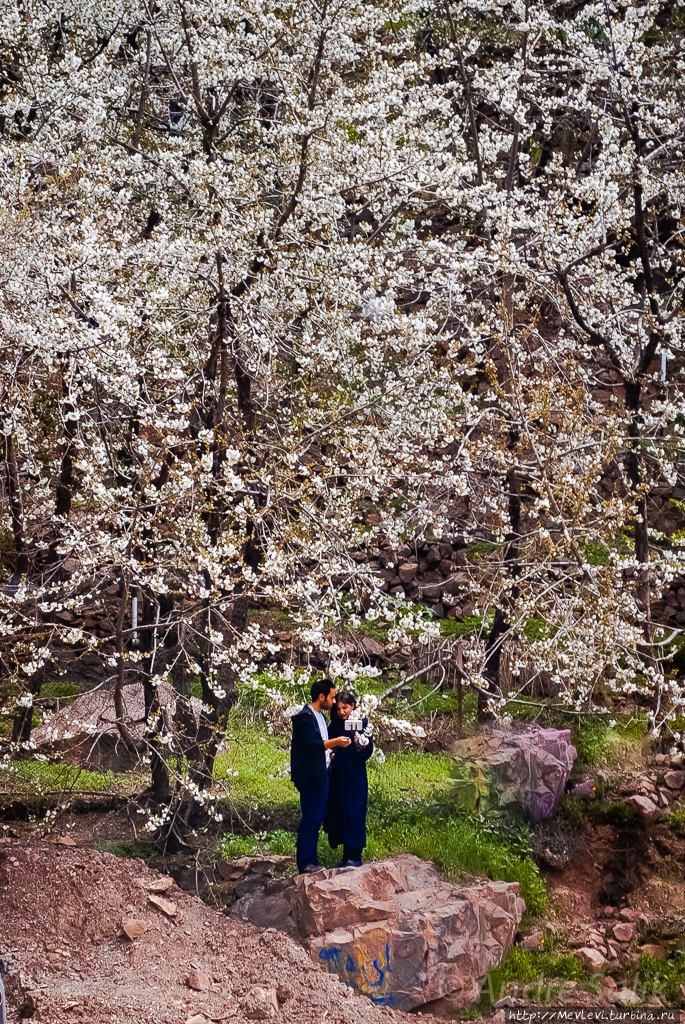 В Тегеране — проездом Тегеран, Иран