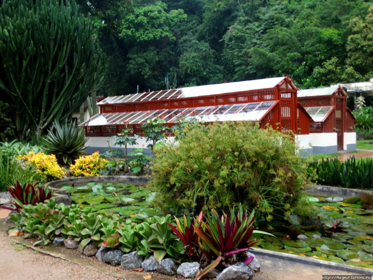 Ботанический Сад Рио-де-Жанейро Рио-де-Жанейро, Бразилия