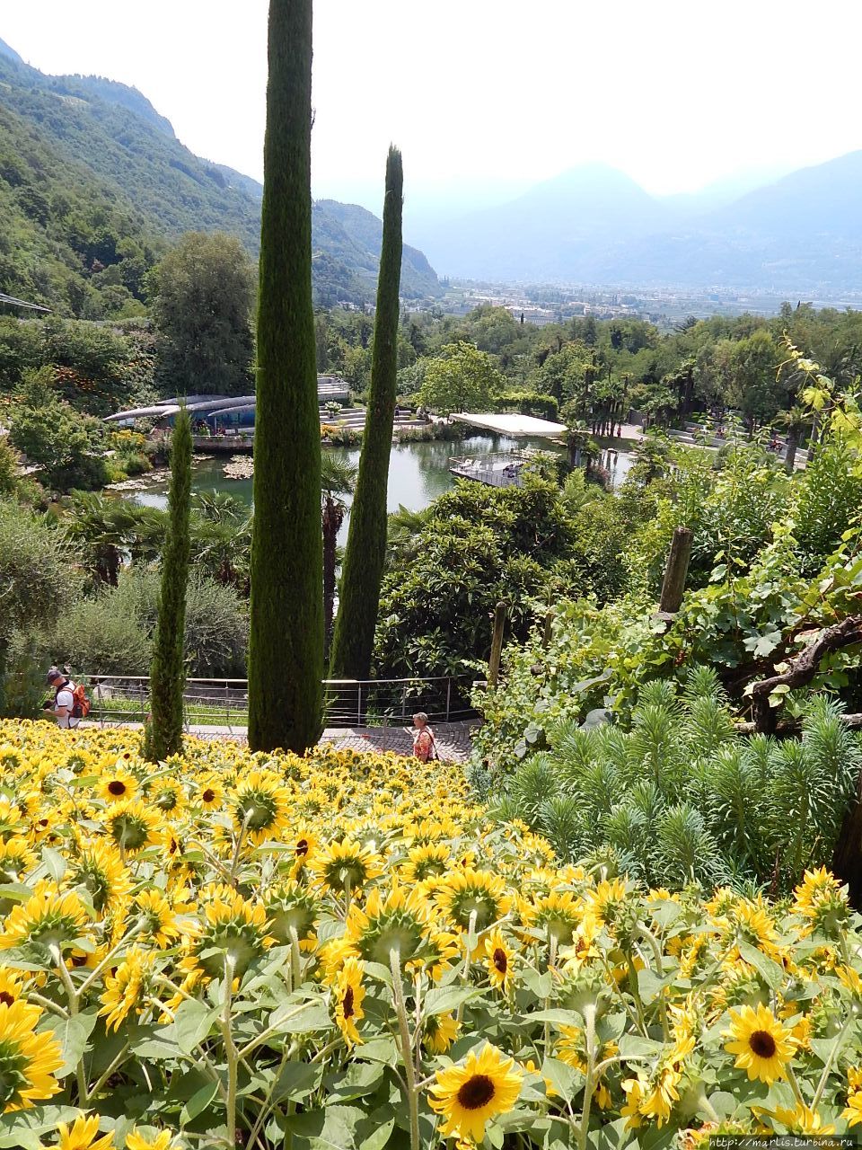 Солнечные сады Мерано