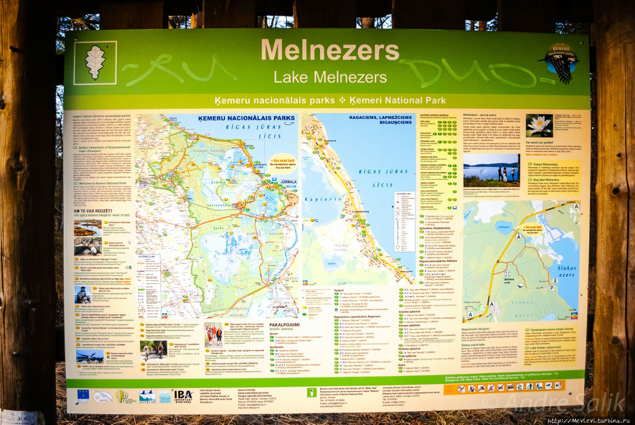 Черное озеро Кемери, Латвия