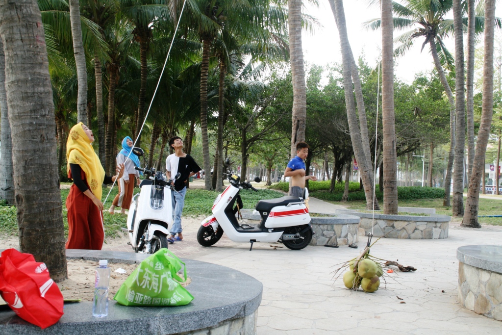 Мусульманская молодёжь добывает кокосы Санья, Китай
