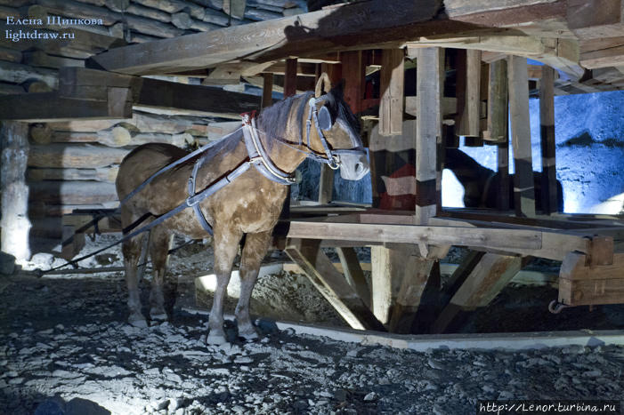Соляная шахта в Величке Величка, Польша