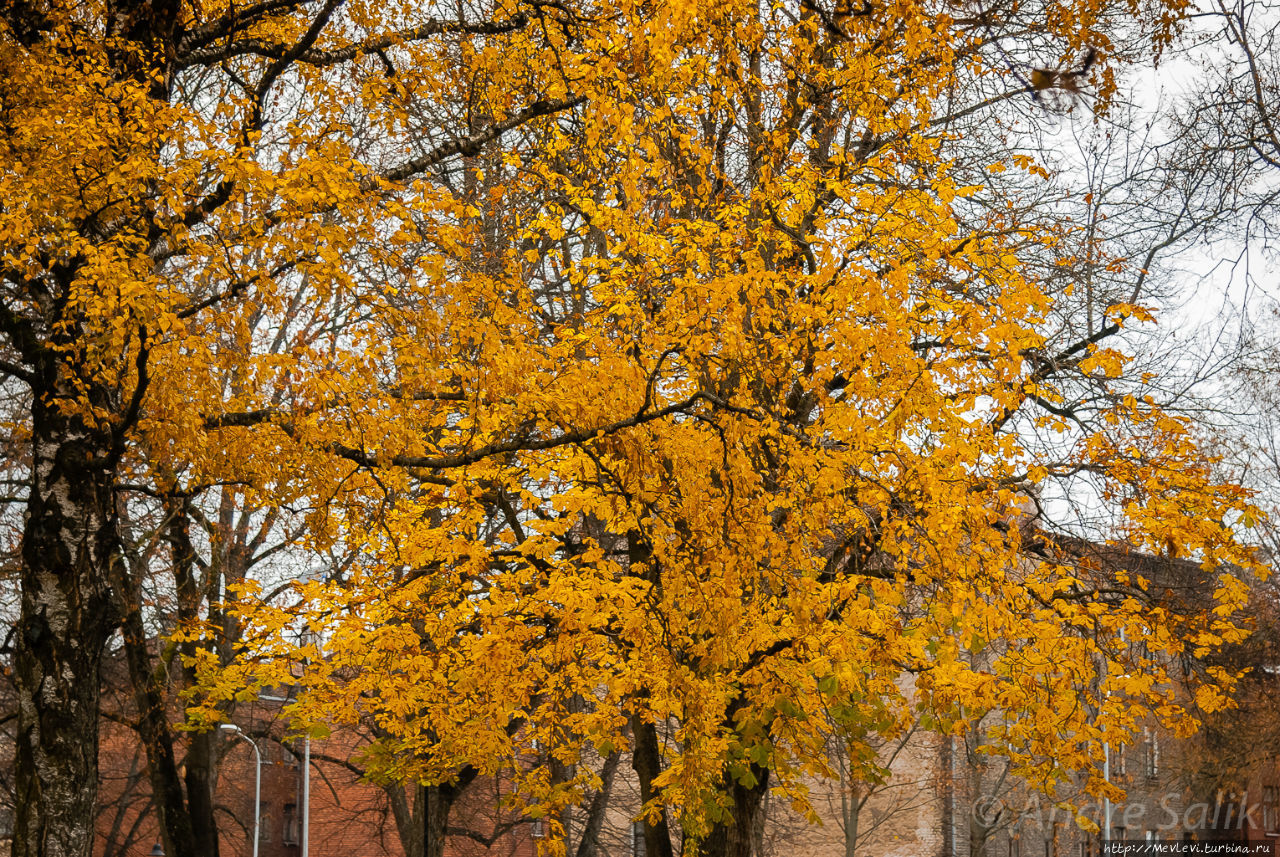 Московский форштадт Рига, Латвия