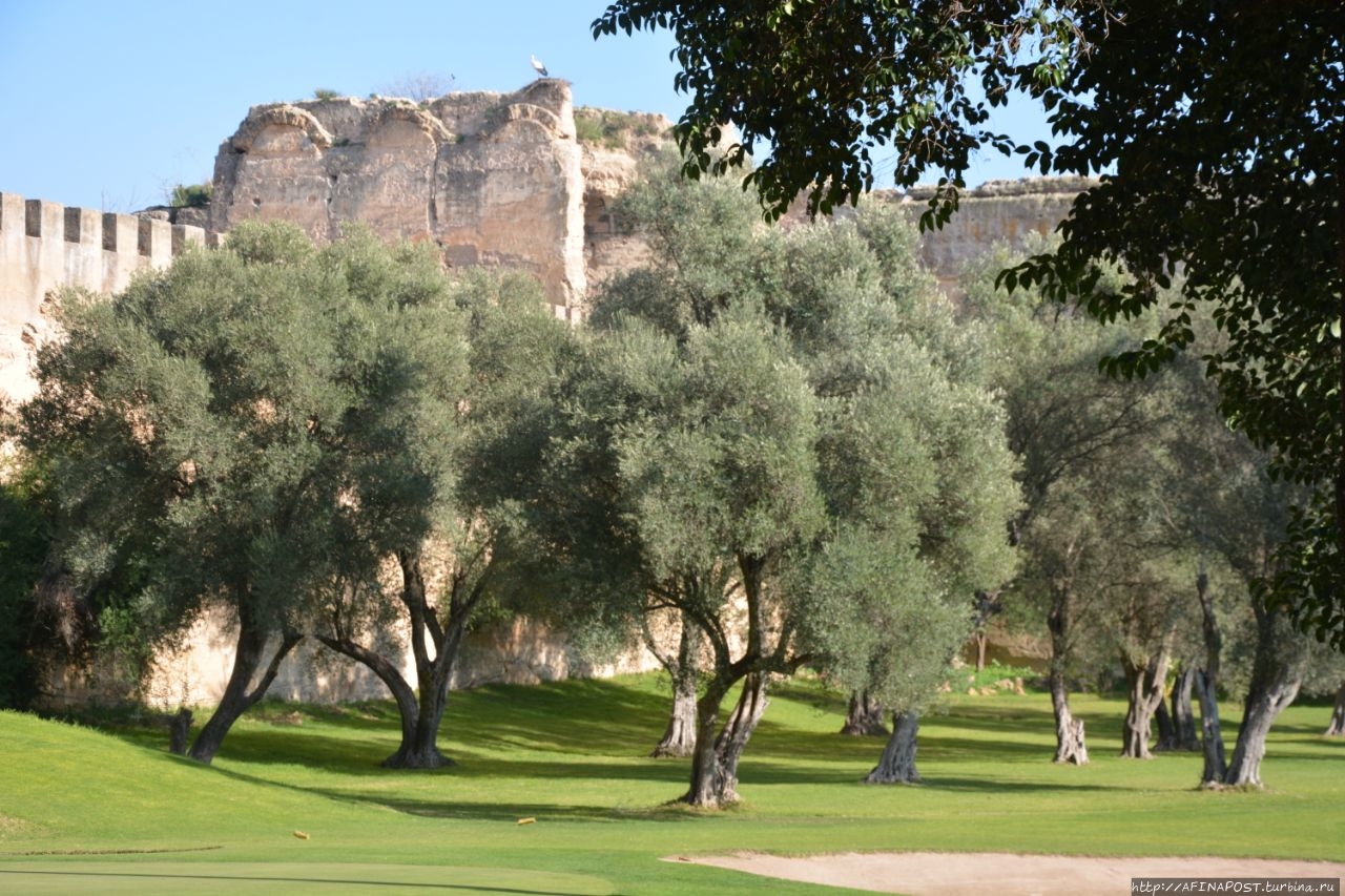Королевское поле для гольфа Мекнес, Марокко