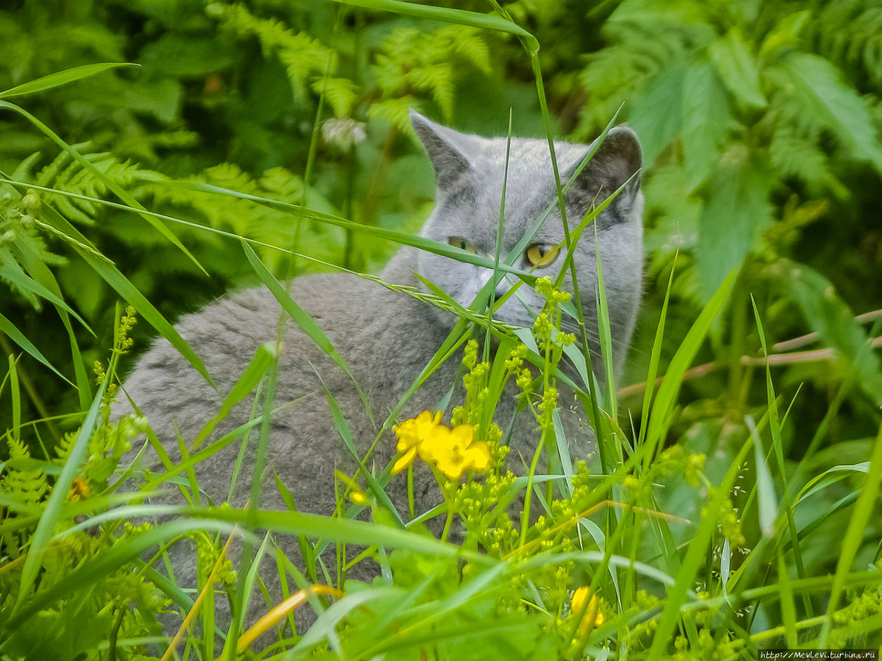 Гостевой дом Лимбажский район, Латвия