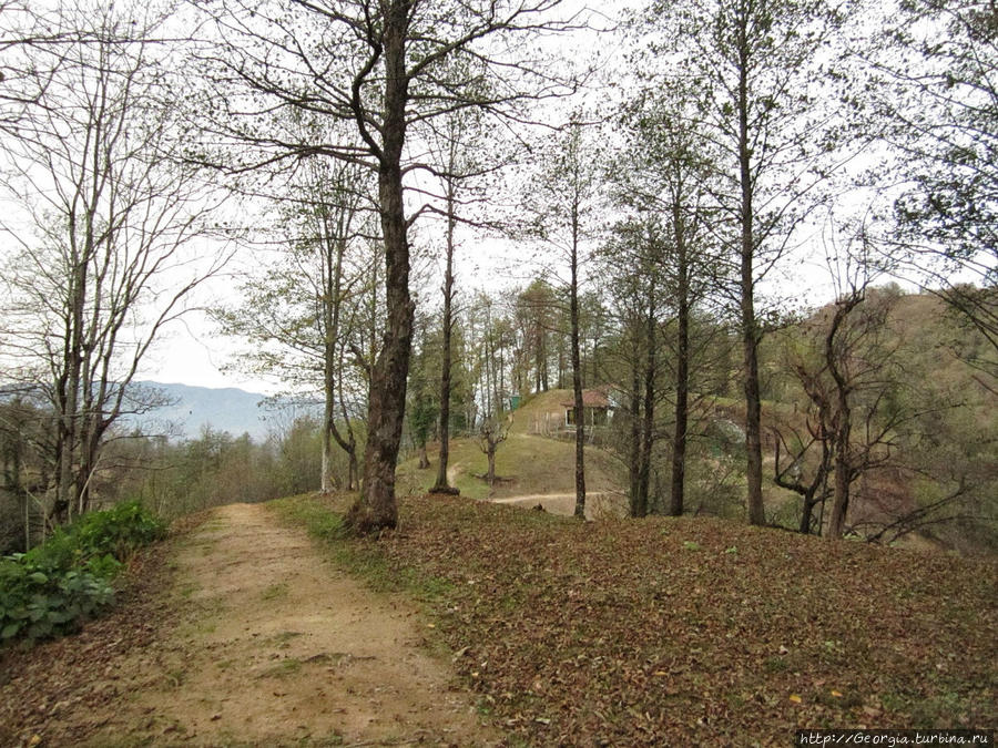 Красота Гурии (Западная Грузия). Чохатаури, Грузия