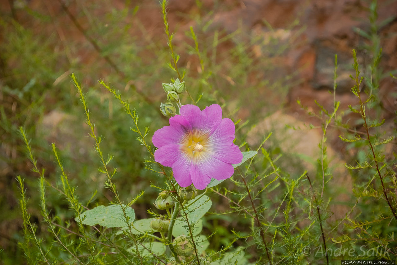 Хари Парбат Форт Шринагар, Индия
