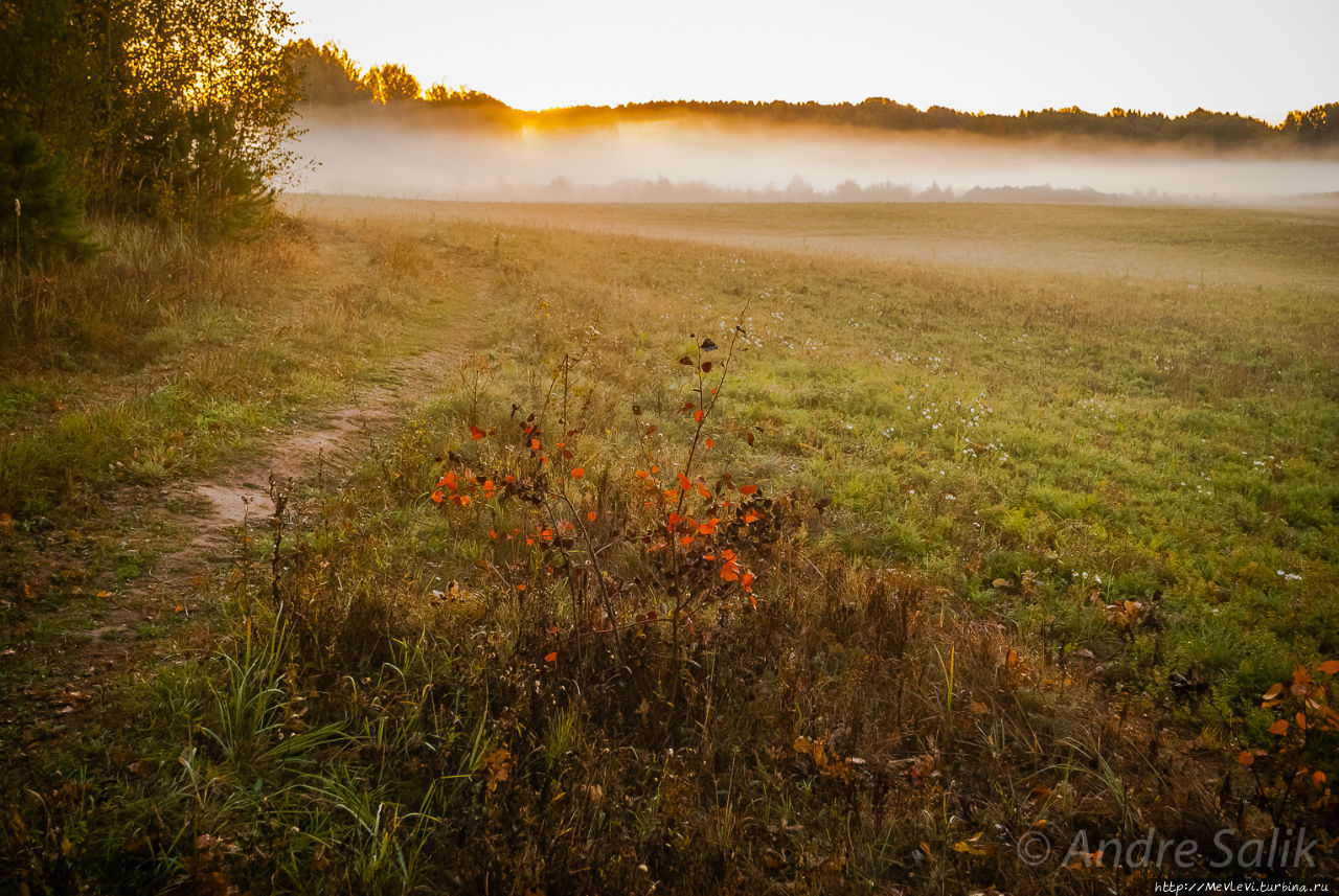 Латвия до рассвета Латвия