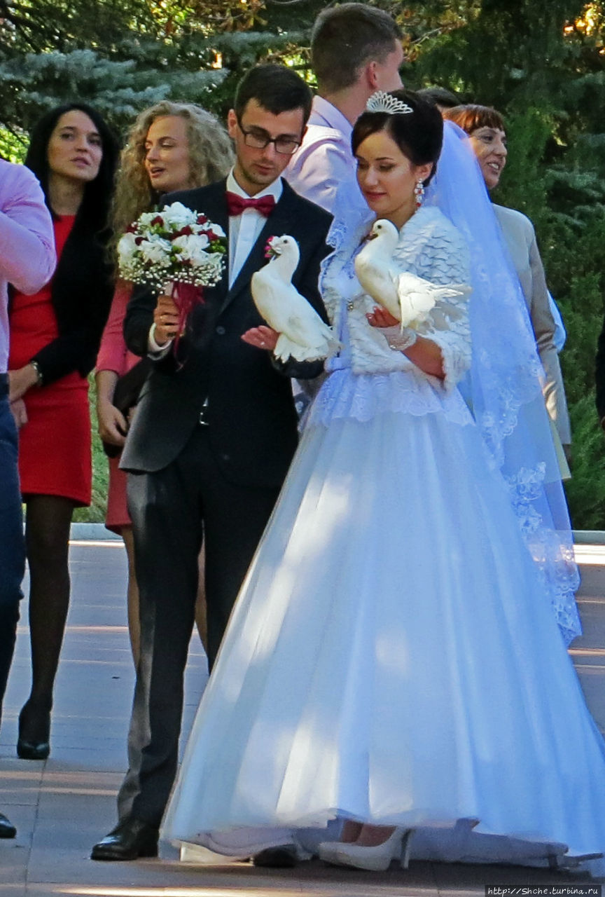 Люблю рассматривать чужих невест. Канев (Черкасская область) Канев, Украина