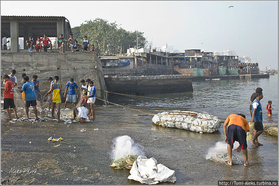 Приливы и отливы в районе Мумбаи довольно сильные. Во время отлива вода отступает от берега на многие метры. Поэтому до берега рыбаки доставляют рыбу на самодельных плотах из пенопласта...
* Мумбаи, Индия