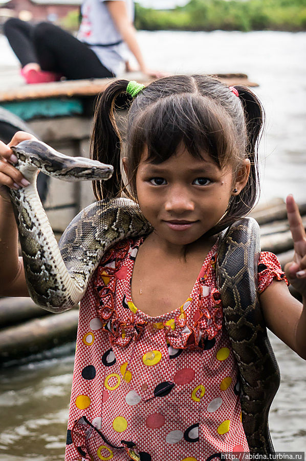 Девочка позирует с питоном Камбоджа