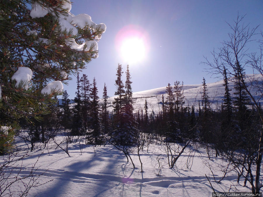 Долина ручья Часнойок (ручей Дятла) Хибины Национальный Парк, Россия
