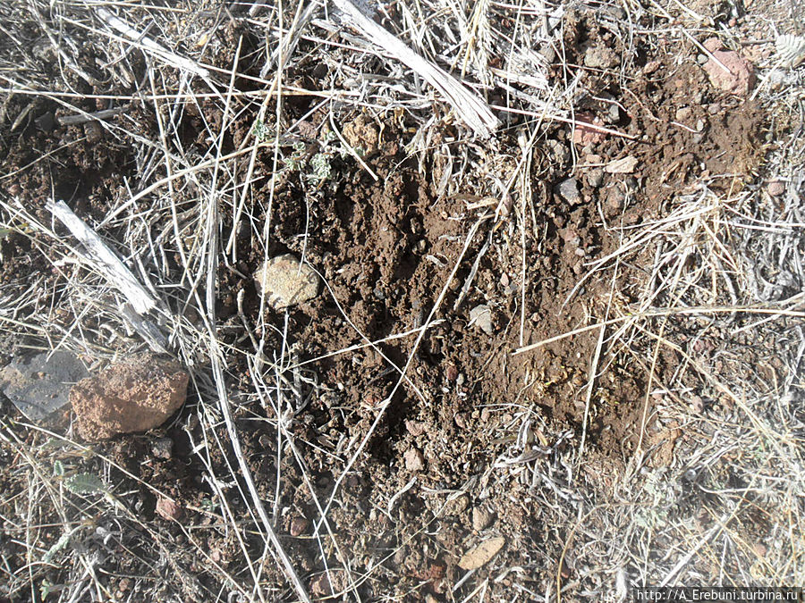 Вулкан Вайоц Сар Гергер, Армения