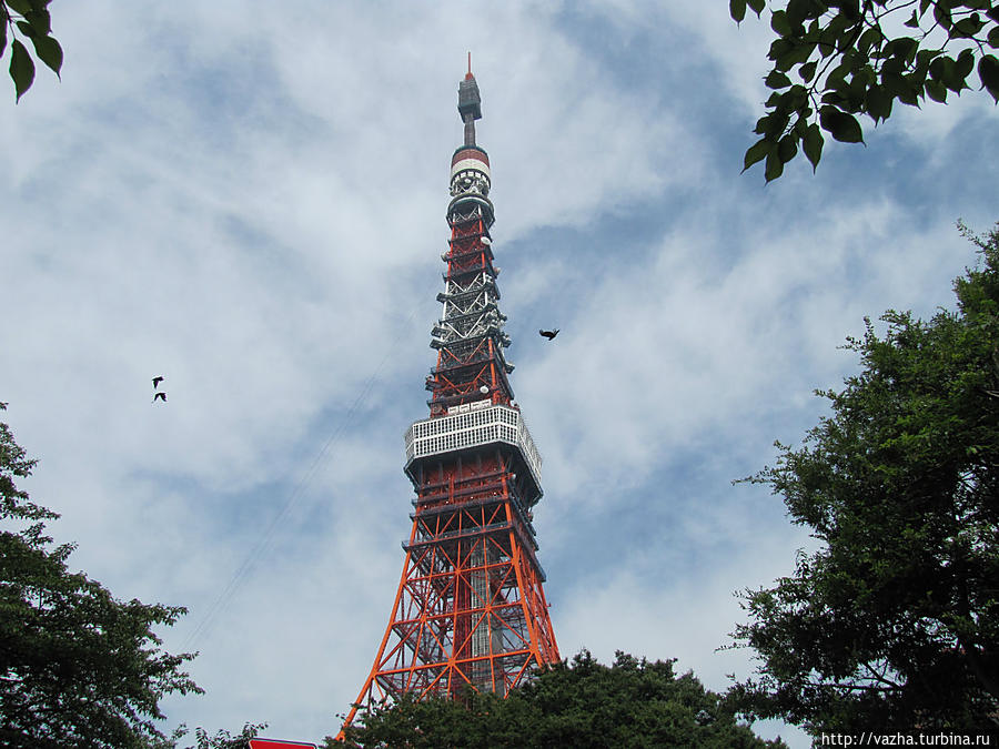 Сама Башня. Токио, Япония