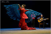 Похоже это лучшая фотография из этого репортажа. Она мне даже самому понравилась. (А такое бывает редко). Это танцовщица из Севильи Наталья Меириньо расправила крылья — коронный номер танца фламенко.