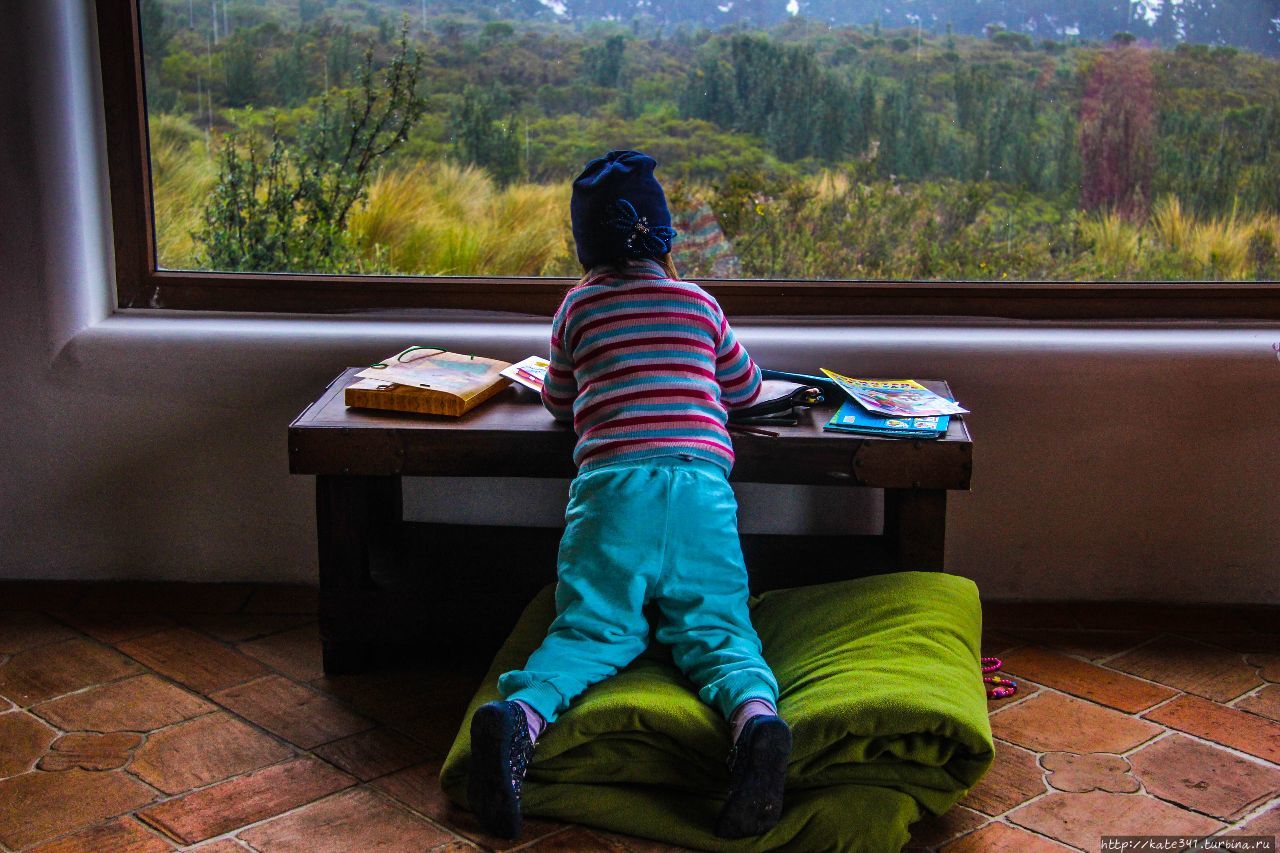 Эквадор с трехлеткой. Часть 1. Котопакси Котопакси Национальный Парк, Эквадор