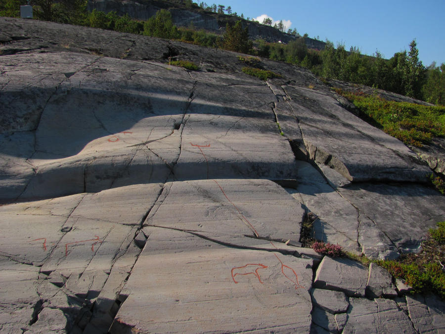 Финнмарк.  Ягоды, иван-чай и рисунки древних Альта, Норвегия