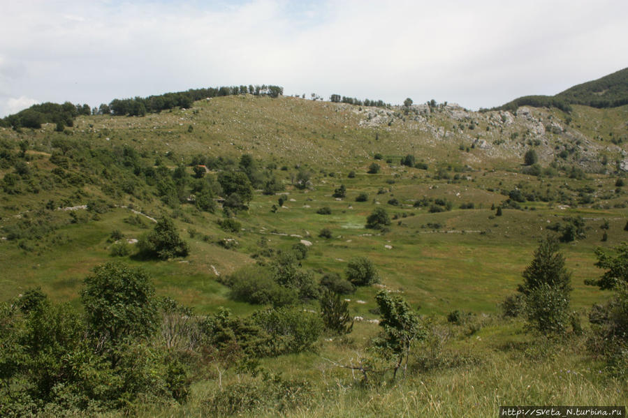 Как мы поднимались на гору Ловчен Область Котор, Черногория