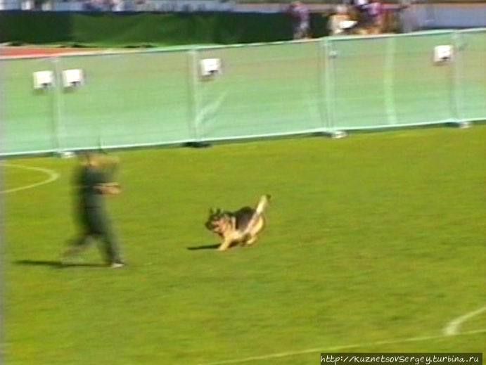 Первый день Зигера в Ульме. Проверка поведения. Германия