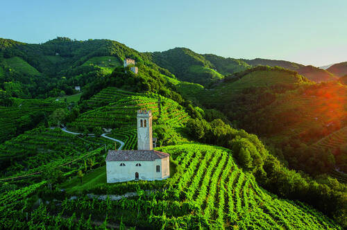 Холм просекко в Вальдоббьядене / Colline del Prosecco di Valdobbiadene