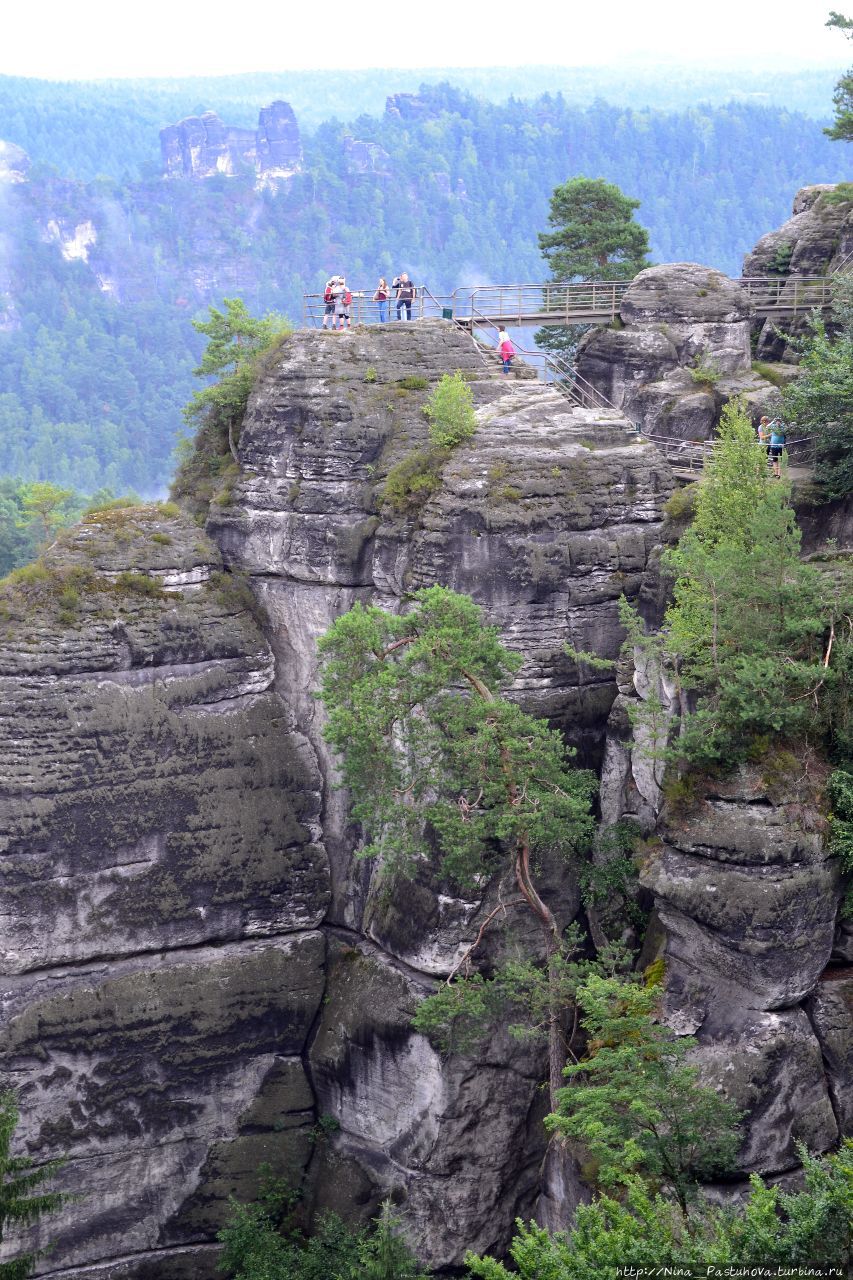 В Саксонской Швейцарии. Скалы и мост Бастай