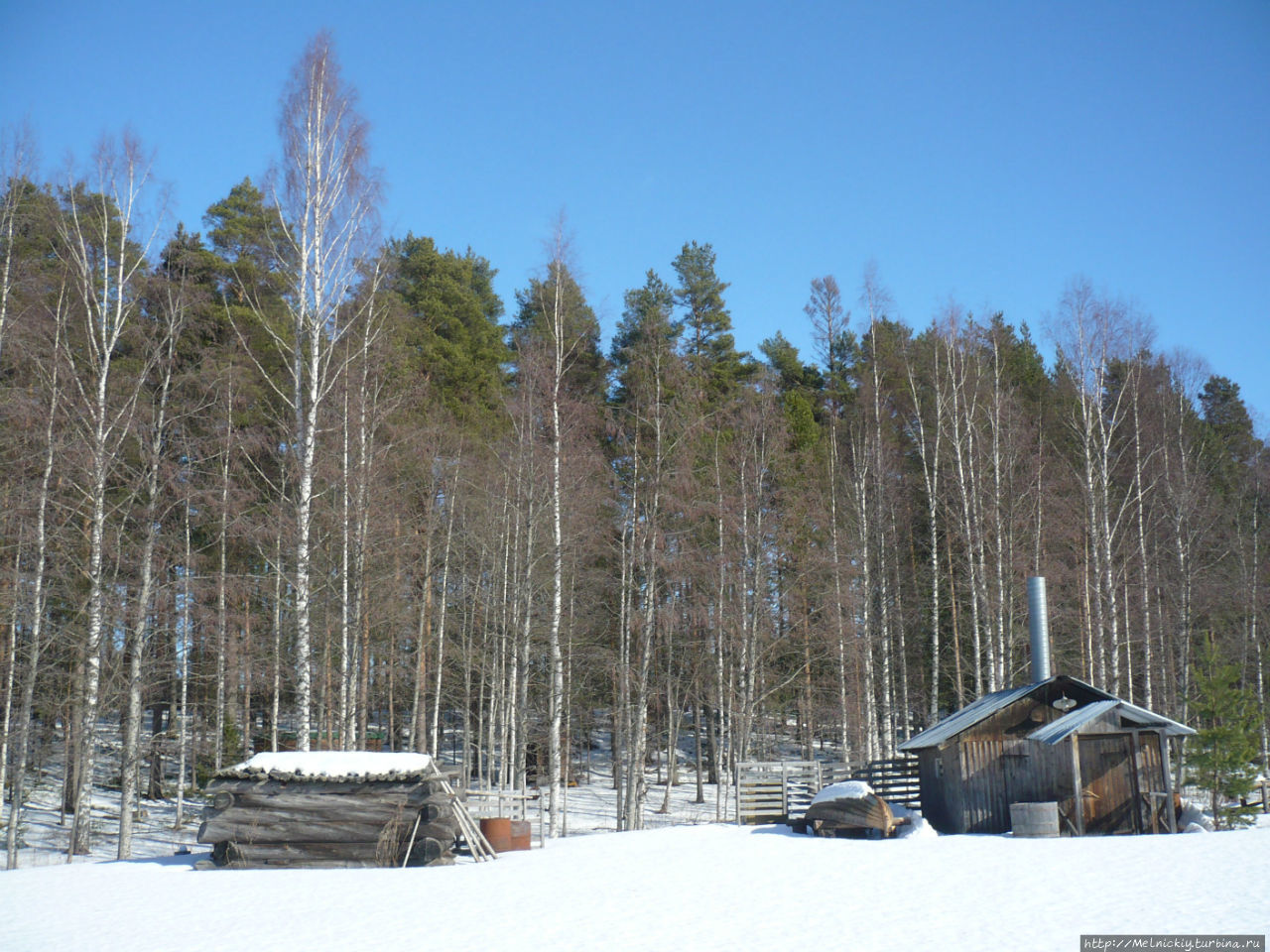 Лусто – музей леса Финляндии