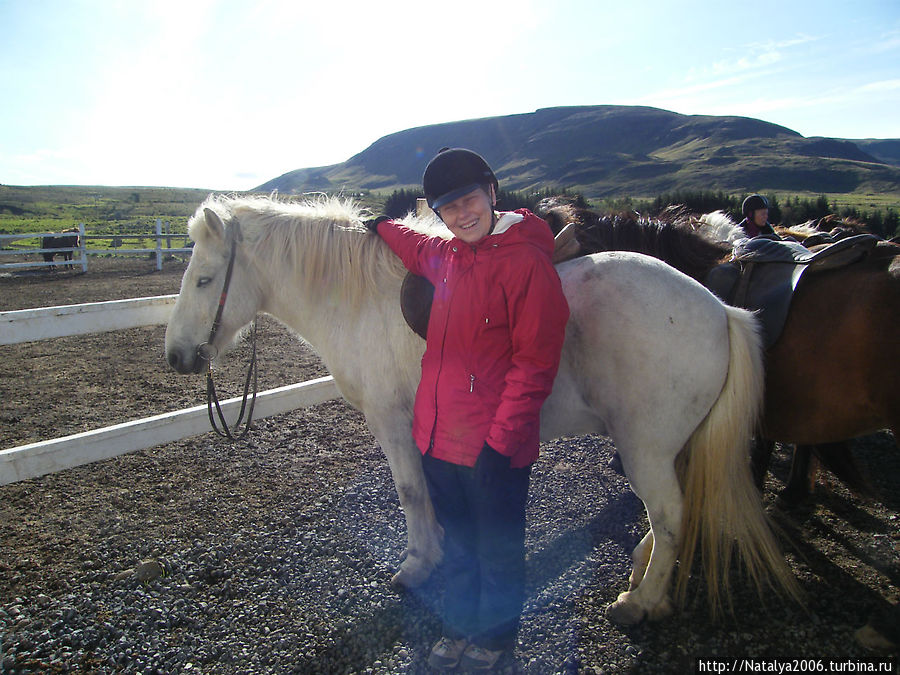Gentle — нежный, кроткий. Вот такой у меня был конь. Исландия