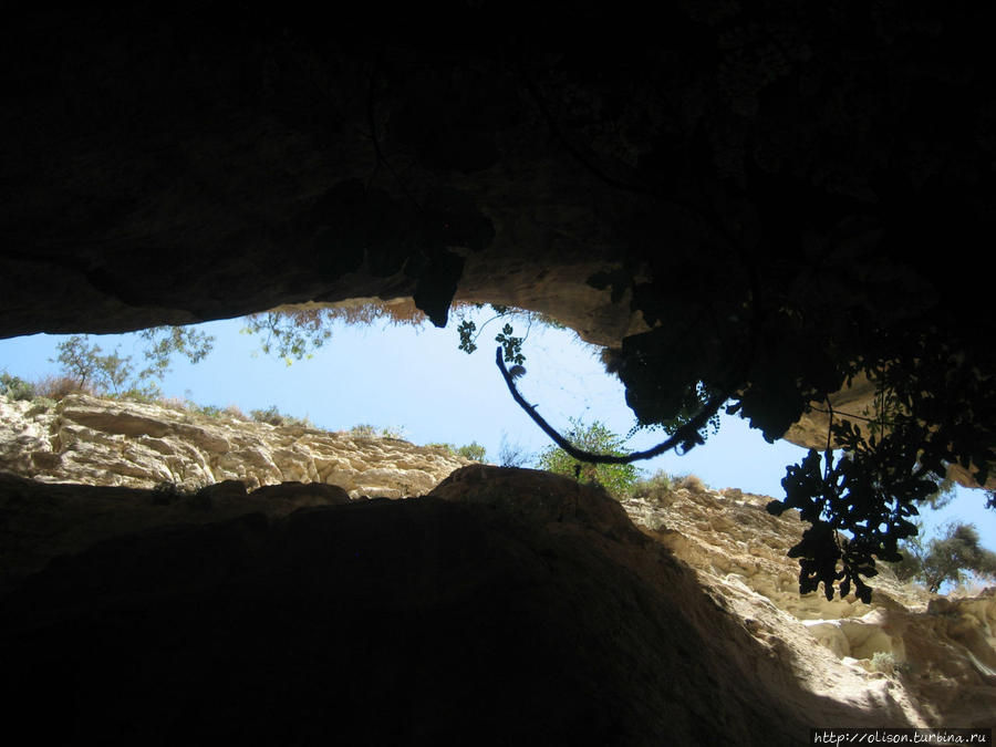 Неизвестный Кипр.  По следам древних драконов. Ущелье Авакас Акамас полуостров Национальный Парк, Кипр