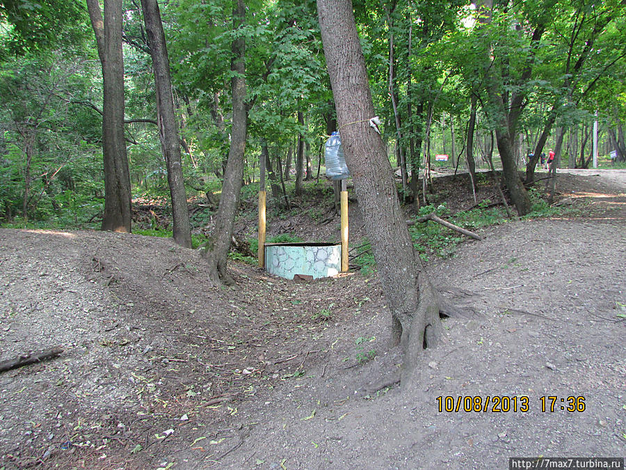 Немного погуляем по лесу Саратов, Россия