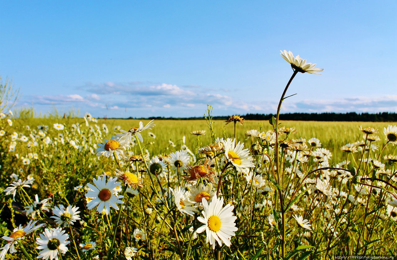 Воспоминания #3 Санкт-Петербург и Ленинградская область, Россия