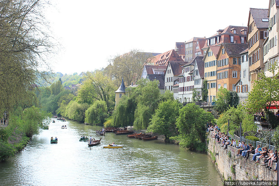 река Неккар.
