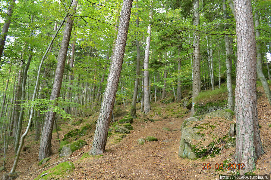 Титизее-озеро Тити? Титизее, Германия