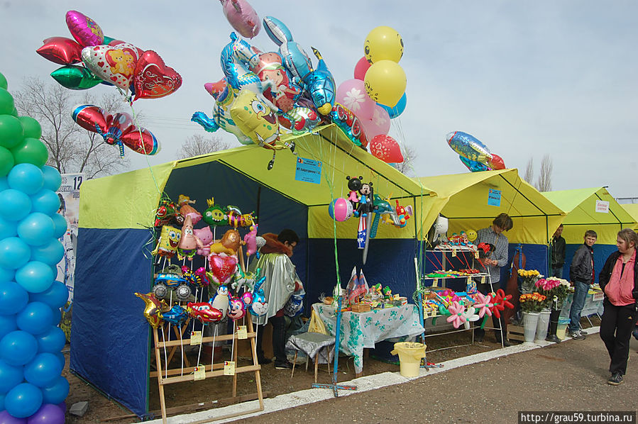 День космонавтики — праздник для избранных Смеловка, Россия