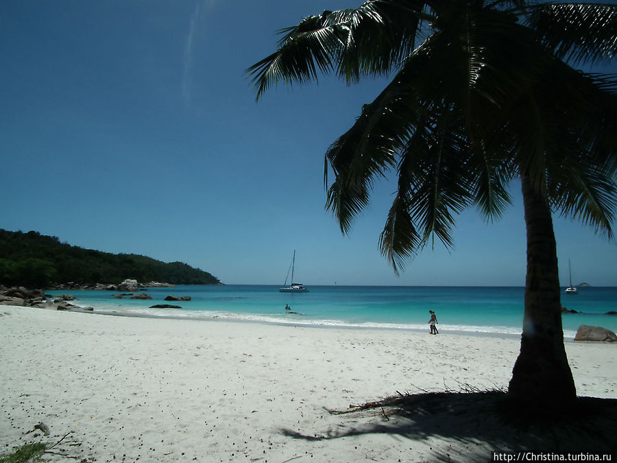 Печальная популярность Праслина Остров Праслин, Сейшельские острова