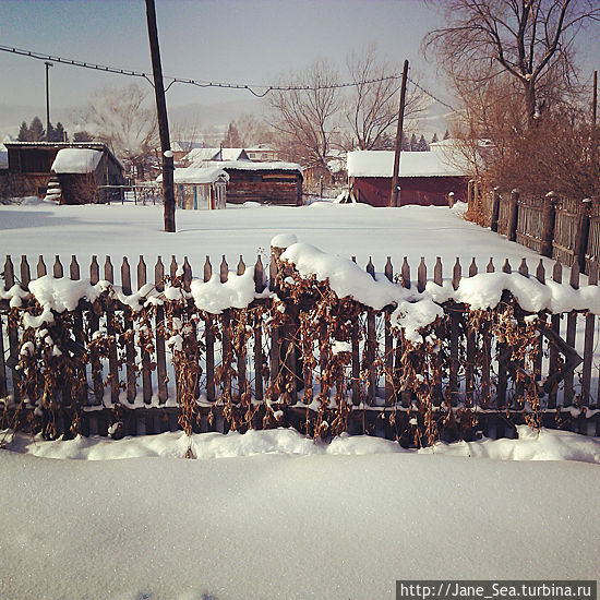 Остатки лета Алтайский край, Россия