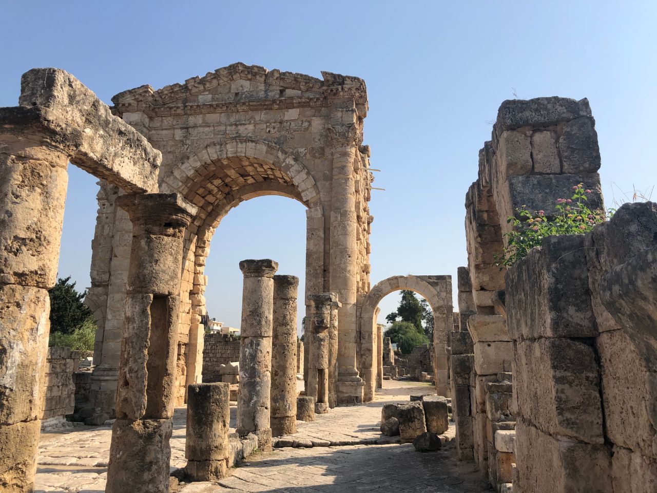 Руины Тира — Некрополь / Ruins of Tyre — Necropolis