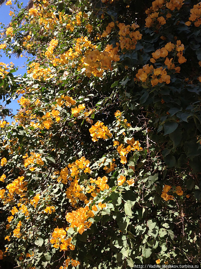 Марракеш Марракеш, Марокко