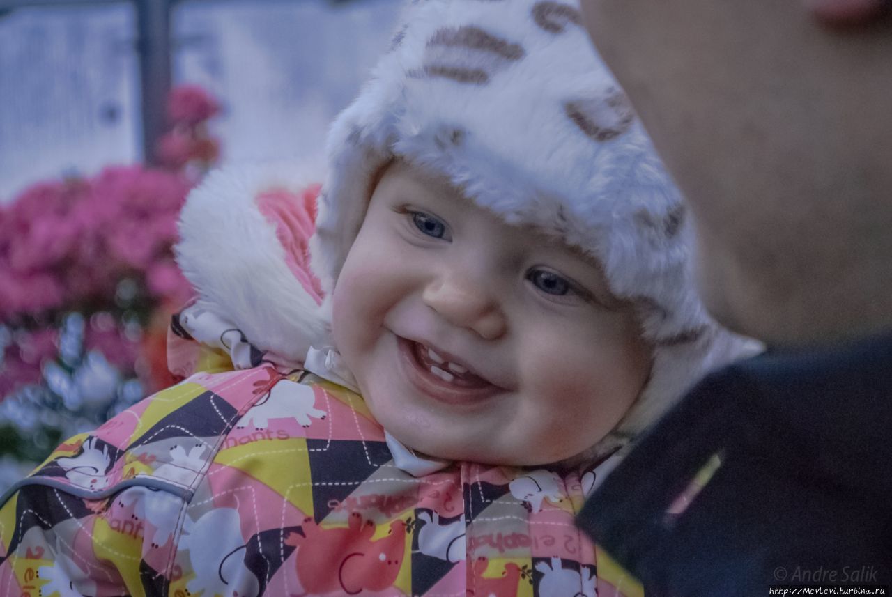 Среди азалий Рига, Латвия