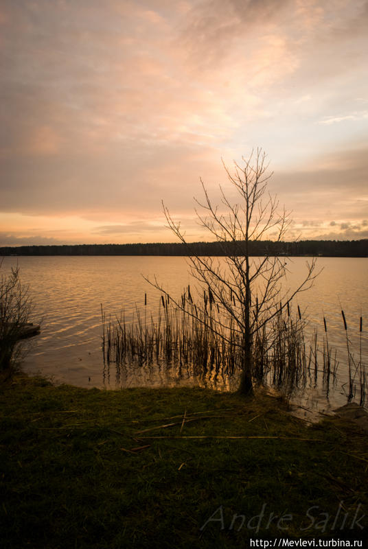 Рассвет на Балтезерсе Латвия