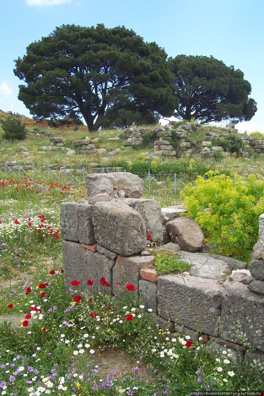 Пергам Бергама (Пергам) античный город, Турция