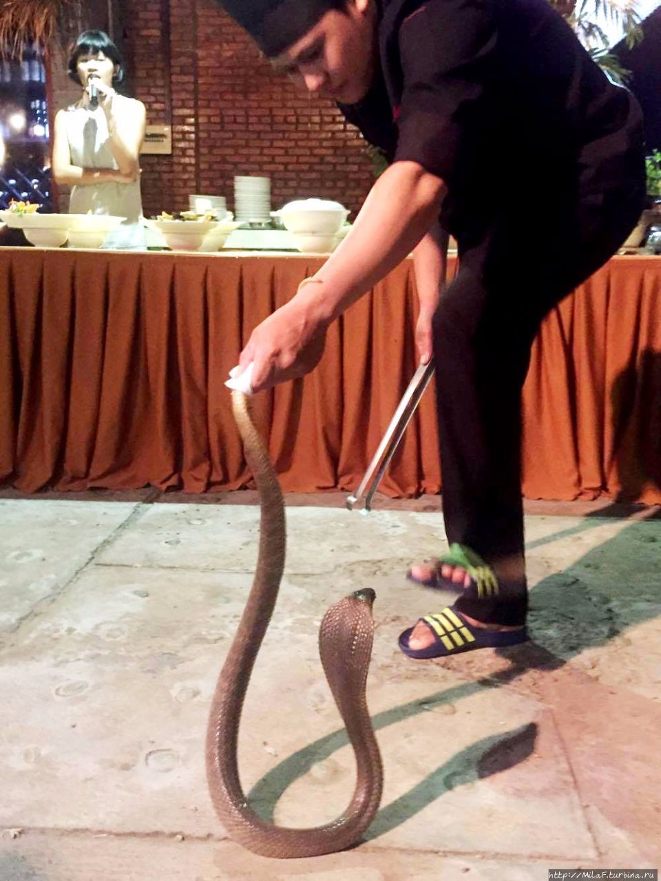 Экзотический ужин в Дежа Вю. Ритуал со змеей Фантхиет, Вьетнам